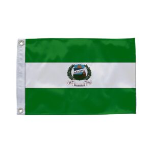 Bandeira de Anori AM