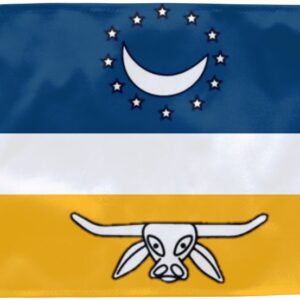 Bandeira de Antônio Cardoso BA