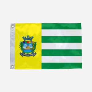 Bandeira de Aparecida de Goiânia GO