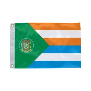 Bandeira de Aparecida do Rio Doce GO