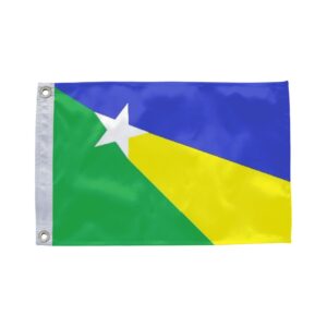 Bandeira de Apuí AM