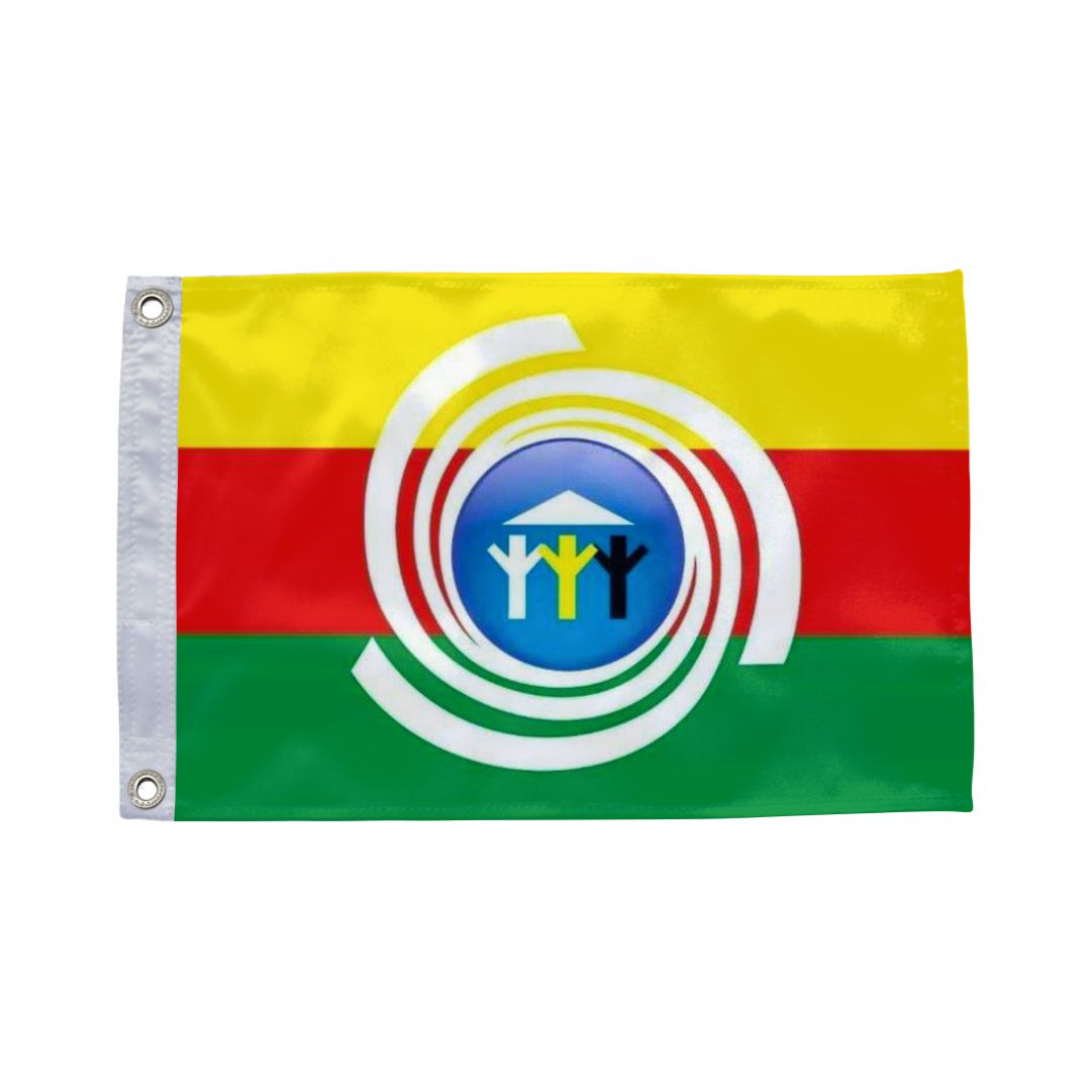 Bandeira de Araguaiana MT