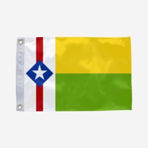 Bandeira de Araguanã MA