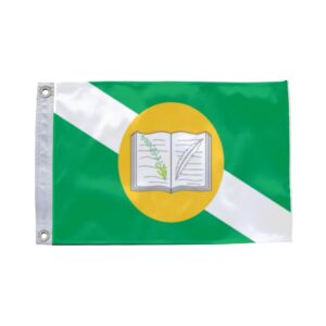 Bandeira de Arari MA