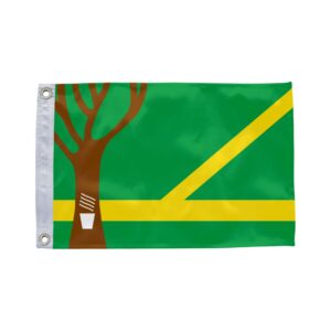 Bandeira de Assis Brasil AC