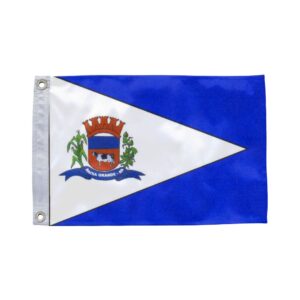 Bandeira de Baixa Grande BA