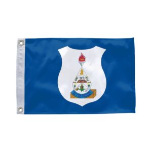 Bandeira de Barra de São Francisco ES