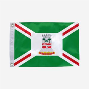 Bandeira de Barra do Bugres MT