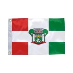 Bandeira de Barreirinha AM