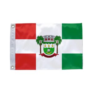 Bandeira de Barreirinhas MA