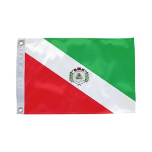 Bandeira de Beruri AM