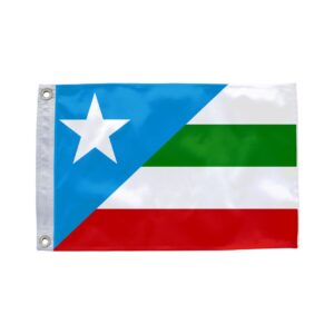 Bandeira de Bom Jesus das Selvas MA