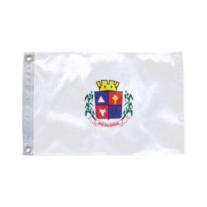 Bandeira de Brejolândia BA