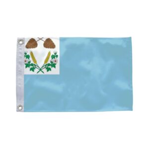 Bandeira de Buriti Bravo MA