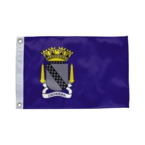 Bandeira de Cachoeira BA