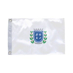 Bandeira de Cachoeiro de Itapemirim ES