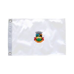 Bandeira de Caetanos BA