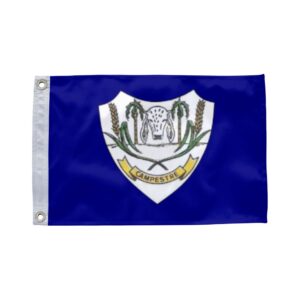 Bandeira de Campestre de Goiás GO