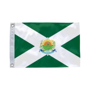 Bandeira de Campos de Júlio MT