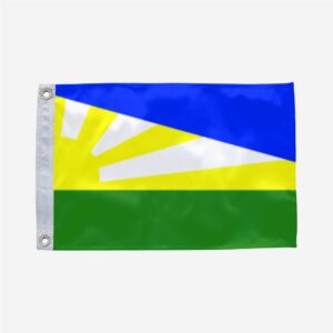 Bandeira de Canarana MT