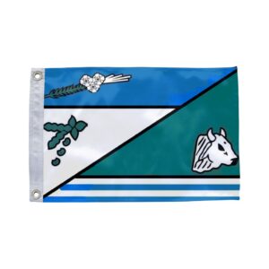 Bandeira de Capela do Alto Alegre BA