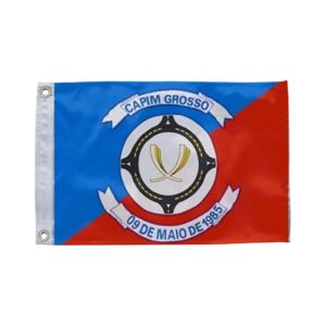 Bandeira de Capim Grosso BA