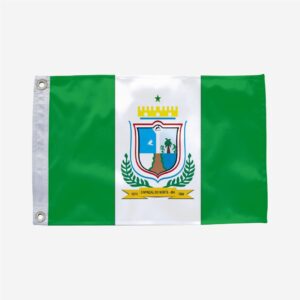 Bandeira de Capinzal do Norte MA