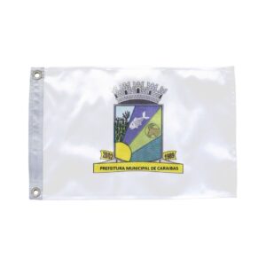 Bandeira de Caraíbas BA