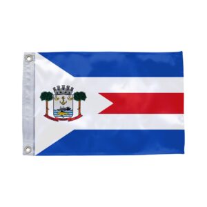 Bandeira de Carauari AM