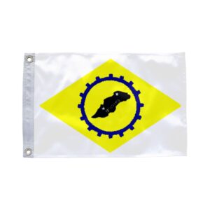 Bandeira de Careiro da Várzea AM