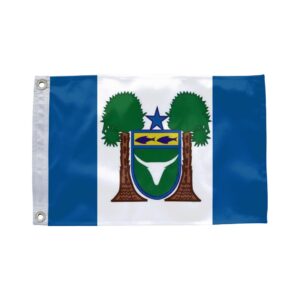 Bandeira de Cariré CE