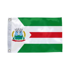 Bandeira de Carolina MA