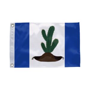 Bandeira de Casa Nova BA