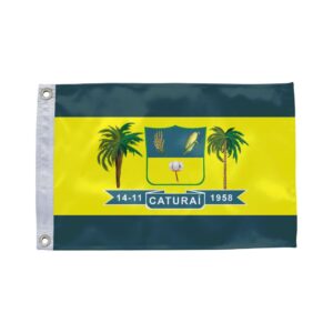 Bandeira de Caturaí GO