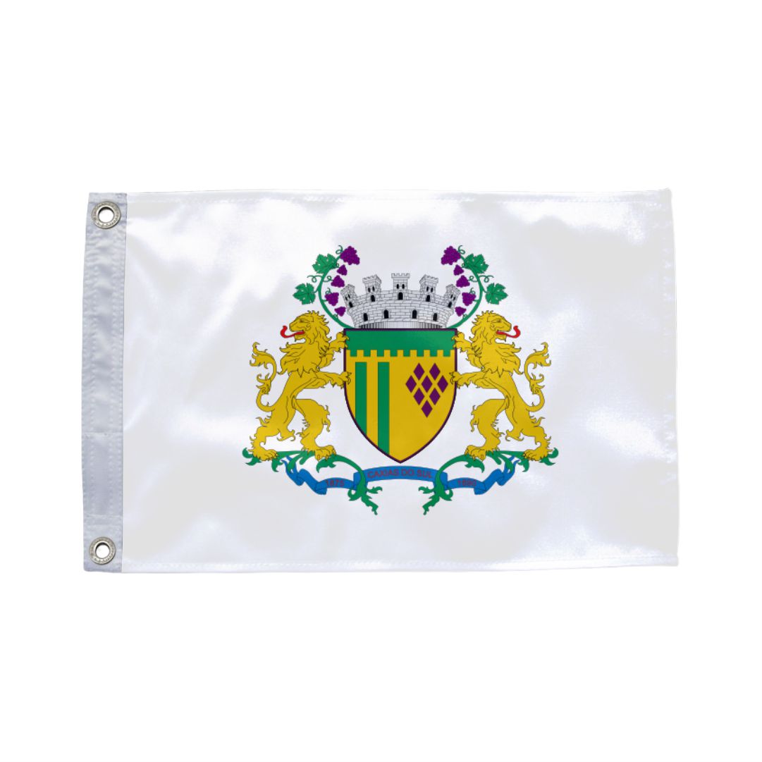 Bandeira de Caxias MA
