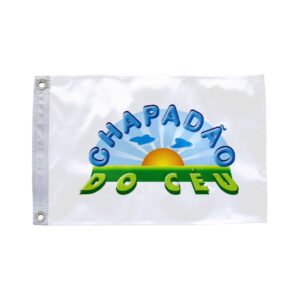 Bandeira de Chapadão do Céu GO