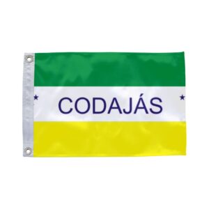 Bandeira de Codajás AM
