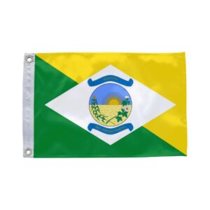 Bandeira de Deputado Irapuan Pinheiro CE