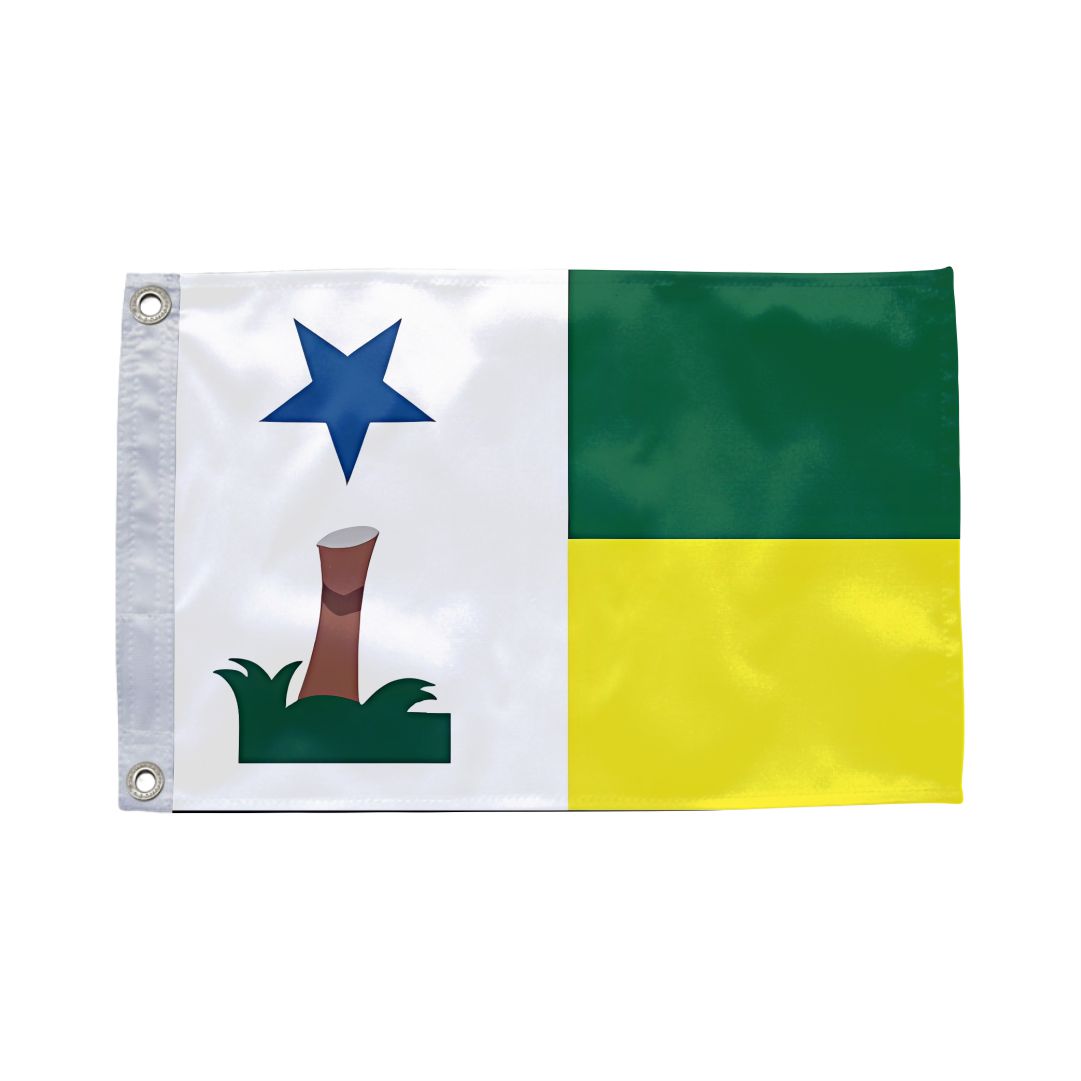 Bandeira de Feijó AC