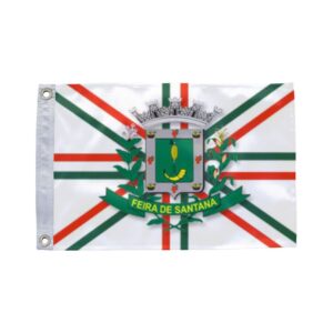 Bandeira de Feira de Santana BA