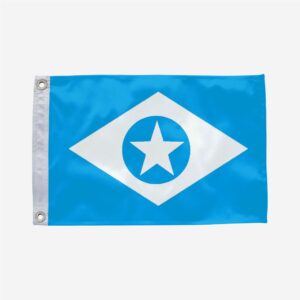 Bandeira de Viana MA