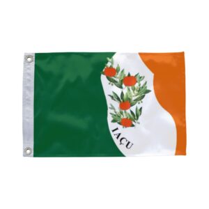 Bandeira de Iaçu BA