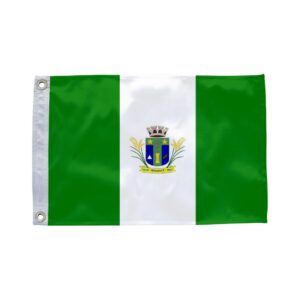 Bandeira de Ibiassucê BA