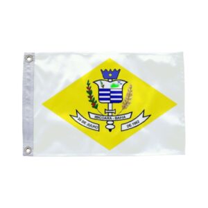 Bandeira de Ibicoara BA