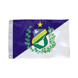 Bandeira de Ibicuitinga CE