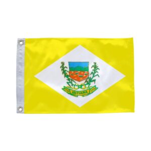 Bandeira de Ibitiara BA