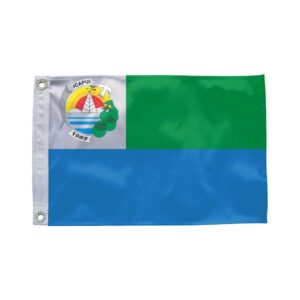 Bandeira de Icapuí CE
