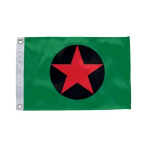 Bandeira de Ipixuna AM