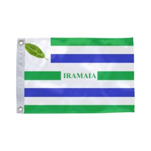 Bandeira de Iramaia BA