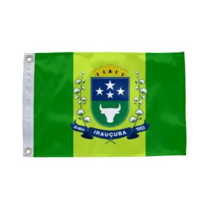 Bandeira de Irauçuba CE